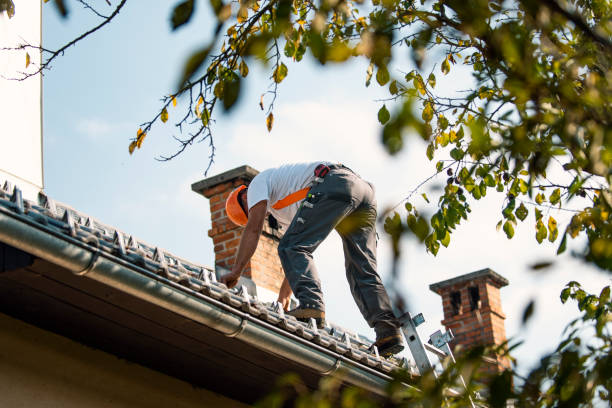 Best Emergency Roof Repair  in Frankl, IN