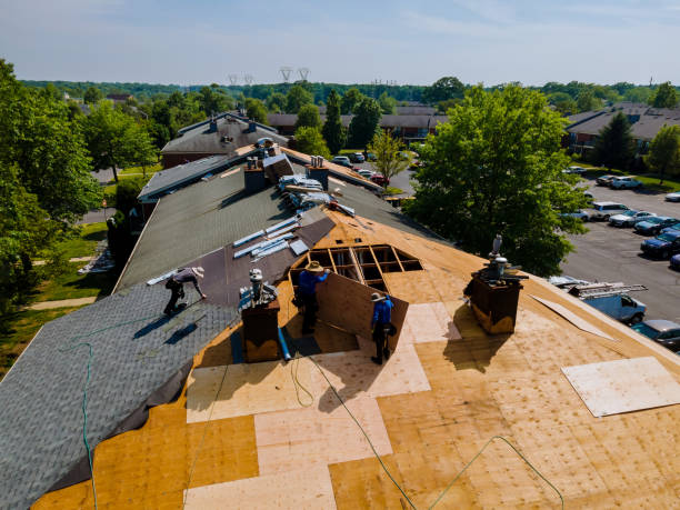 Best Roof Leak Repair  in Frankl, IN