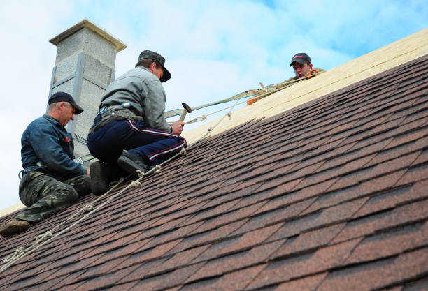 Best Roof Leak Repair  in Frankl, IN