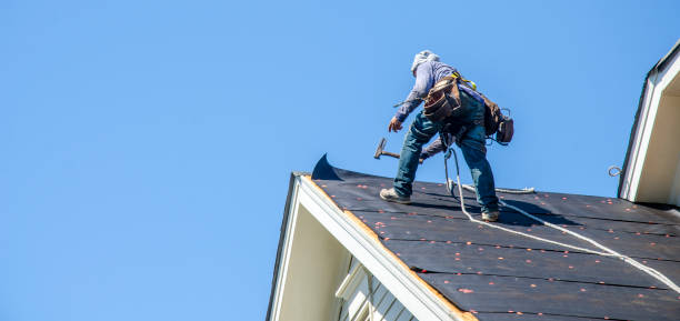 Best Commercial Roofing Services  in Frankl, IN
